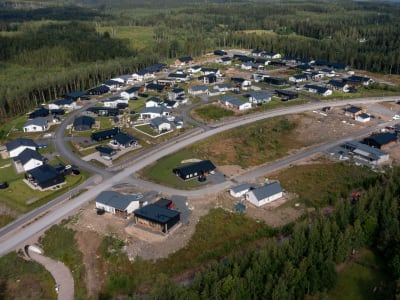 Kauramäen omakotitalo-alue.