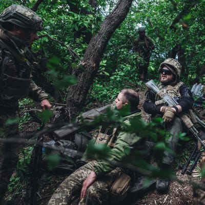 En grupp ukrainska soldater i en skog
