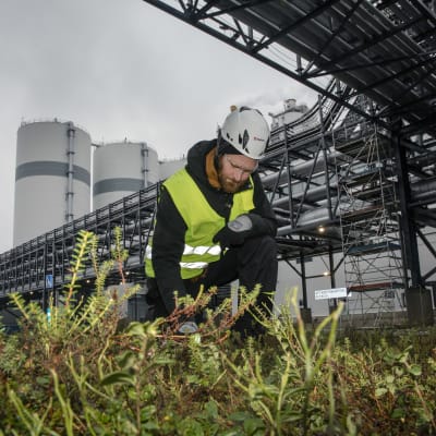 Kypäräpäinen mies on kyykistyneenä viheralueelle ja katsoo maahan. Miehen yläpuolella ja takana on iso metallinen rakennelma ja taustalla näkyy kolme suurta ja korkeaa lieriön mallista säiliötä.