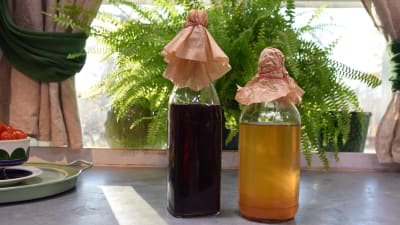 Två flaskor på en köksbänk. Den ena flaskan innehåller en rödbrun vätska och den andra innehåller en gulbrun vätska. Flaskornas mynning är täckta med varsitt kaffefilter. 
