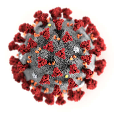 En datoranimerad bild av coronaviruset.