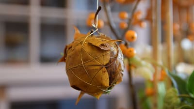 En boll gjord av konserverade löv.