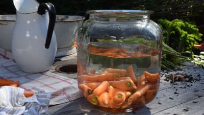 Morötter i en glasburk med vatten på ett bord