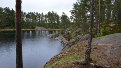 Tykö strövområden i Salo sommaren 2014