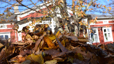 Lövhög framför Strömsövillan på hösten.