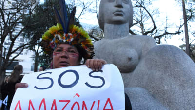 En vkinna demonstrerar mot avskogningen i Amazonas regnskog. 