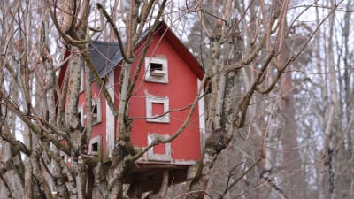 Ett rött, ganska stort hus som fungerar som fågelholk placerat i ett träd.
