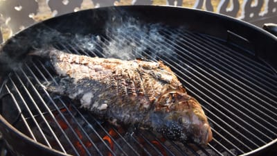 Braxen på grillen