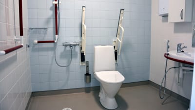 Ett handikappvänligt badrum där det finns en dusch, toalett och ett handfat.