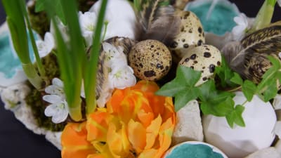 Ett blomsterarrangemang gjort i ett äggfack med tomma äggskal som små vaser. Arrangemanget är dekorerat med fjärdrar, vaktelägg, mossa, tulpaner och narcisser.