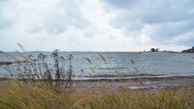 Utsikt från stranden i Hangö där vågor rullar in.