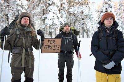 Tre personer på skidor i en snöig skog. En av dem har en skylt med orden "för skogar" i handen.