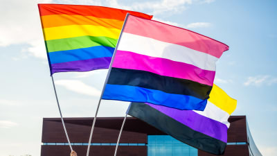 Tre flaggor: Prideflaggan, flagga för ickebinära och flagga för genderfluida personer.