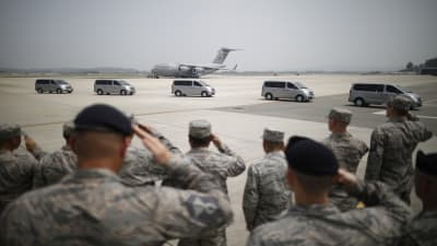 Amerikanska soldater gör honnör för kvarlevorna på flygbasen Osan i Pyeongtaek, Sydkorea, 27.7.