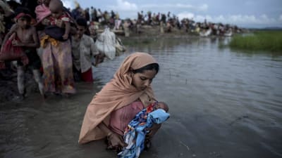 Rohingyer flyr från Burma till Bangladesh över floden Naf.