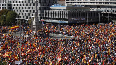 Colon-torget i Madrid förvandlades till ett hav av spanska flaggor.