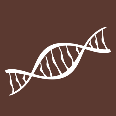 Piirroskuva DNA:n rakenteesta.