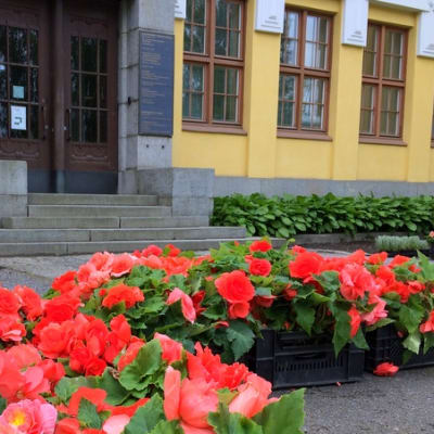 Kukkailaatikoita Mikkelin kaupungintalon edustalla.
