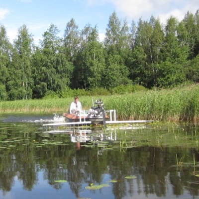 Viinijärveä niitettiin heinäkuussa 2012.
