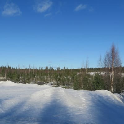 Maisemaa