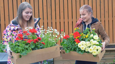 Susanna Toivonen och Liina Korte står med lådor med blommor i händerna.