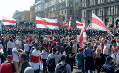 Stor samling demonstranter står med vitröda flaggor i Belarus i augusti 2020.