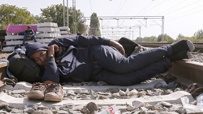 Flykting sover på järnvägsspår i Kroatien.