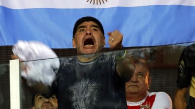 Maradona jublar på läktaren.