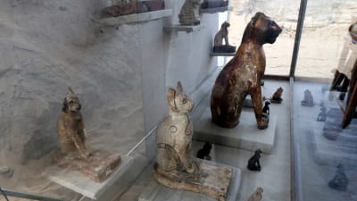 Bild på kattstatyer som hittades i Egypten