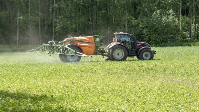 Traktori ruiskuttaa torjunta-aineita etelä-hämäläisellä pellolla