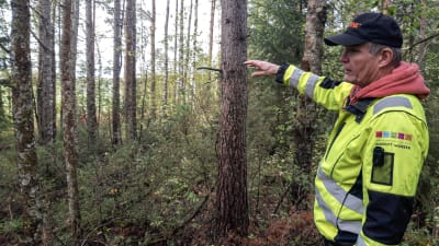 Landskapsarkeolog Pentti Risla på Österbottens museum pekar i skogen.