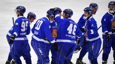 Finska spelare firar ett mål i bandy-VM:s semifinal 2017.