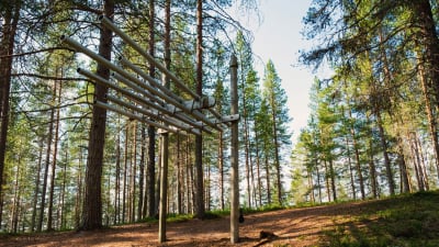 Pyöreistä putkista, jotka kiinnitetty pystypuihin, tehty kookas soitin, nimeltään viuhkaharmuuni, Suomussalmen Soivassa Metsässä.