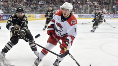Aleksi Saarela i Charlotte Checkers.