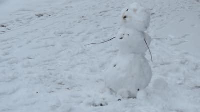 En liten snögubbe i ganska grå-vitt vinterlandskap.