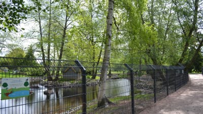 Staket kring fågelparken i Kuppisparken en solig dag.