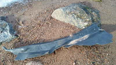 Ett större svart plastföremål ligger i sanden, efter att ha sköljts upp ur havet.
