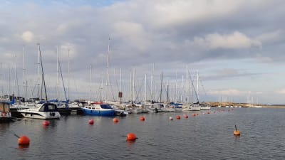 Segelbåtar i gästhamnen i östra hamnen i Hnagö.