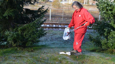 Kaija är ute med sin griptång i Hyvingeterrängen.