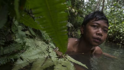 Ursprungsbefolkning i Amazonas