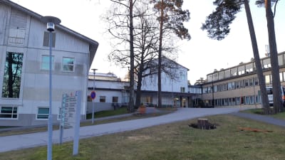 En bild på Raseborgs sjukhus byggnader och vägen som leder fram till dem. 