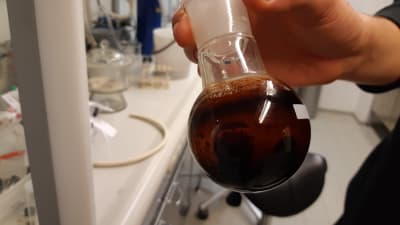 brun olja i runt glaskärl i laboratorium. En hand håller kärlet