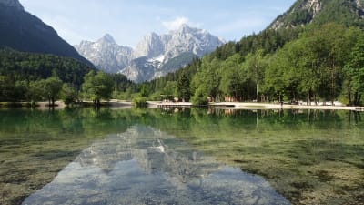Bergslandskap speglas i vattendrag i Slovenien.