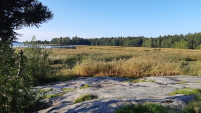 Berg, vatten och vass på Lilludden.