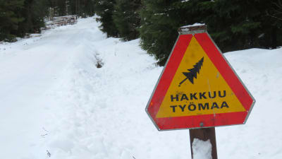 En varningsskylt för trädavverkning, fallande träd. Bakom en trav med fällda stockar. Vinte och snö, liten väg.