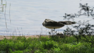 Strandbryn.  En sten som sticker upp ur vattnet. Sommar och soligt.
