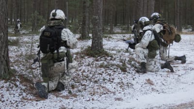 Militärer i kamouflagekläder ivitt på grund av snö. De sitter på huk eller smyger framåt. stridövning, manöver.