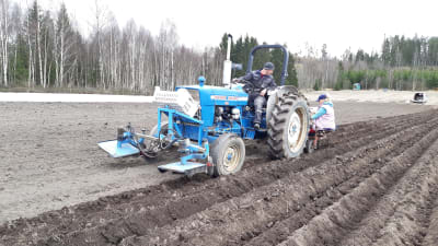 Ruslan Klymyk kör en traktor som sätter potatis på en åker i Ingå.