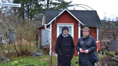 Marga Brunila och Kristina Virtanen från Brunakärr koloniträdgårdsförening står framför Brunilas kolonistuga.