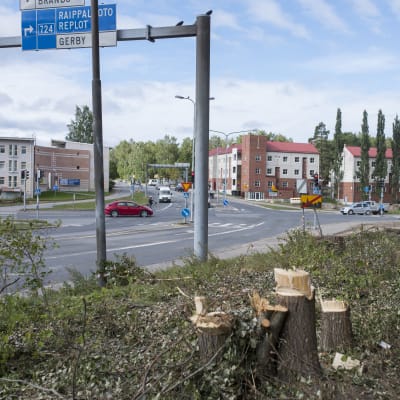 Trädavverkning invid vägkorsning i Vasa.